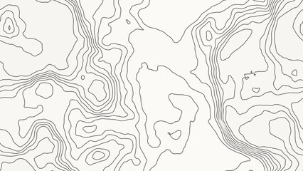 Abstract topographic map lines on a light background © AmDmLib