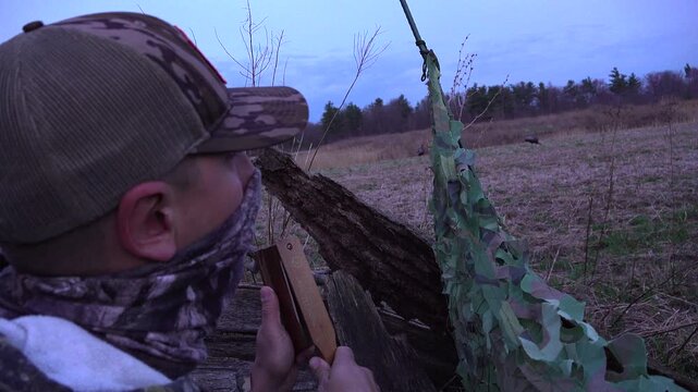 A close up of a camouflaged hunter operating a wooden box call from inside a ground blind. Turkey decoys are positioned in the background field during an early morning spring hunt.