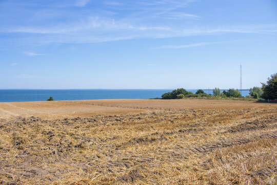 Feld an der Ostsee in Boltenhagen