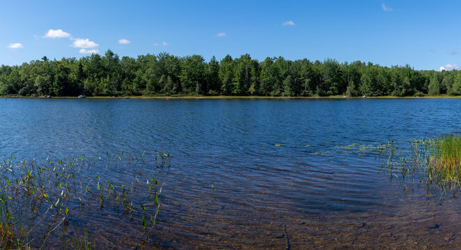 Wide view of Toddy Pond in Orland Maine on a warm summer day.