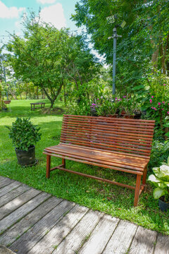 Wooden Bench in park,Rest seat for sitting in morning,Beautiful park with green grass and tree,Empty backyard greenery concept.