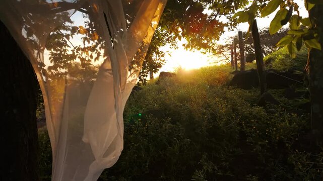 White sheer curtain blowing in the wind at golden hour sunset