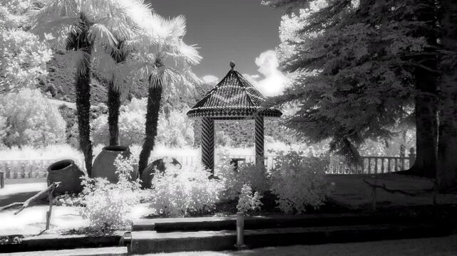 An infrared timelapse of a garden gazebo surrounded by glowing white palm trees and conifers under a dark sky with moving clouds