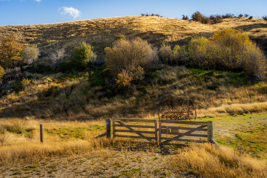 Weathered wooden farm gate and an antique hay rake on a golden tussock hillside, New Zealand