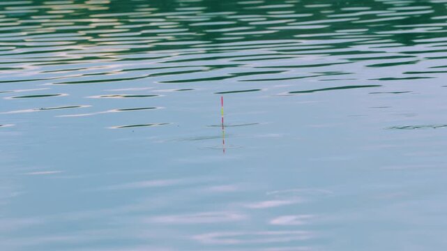 Striped fishing float bobbing, moving sideways and sinking under water during a bite