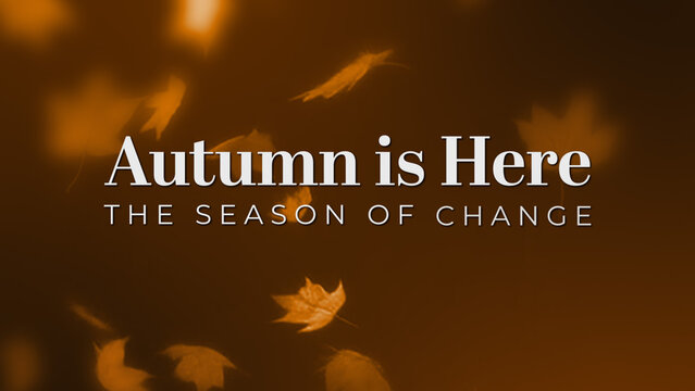 Autumn Falling Leaves Title Intro &ndash; Fall Season Video Opener with Warm Gradient for Seasonal Content
