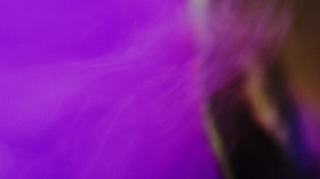 Flower,Petal,Purple,Colorful,Light/Dark,
Color Lighting,Smoke,Fog,Soft Focus,C-UP,
HS,Camera Movement