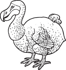 line art of an extinct Dodo Bird © Brett