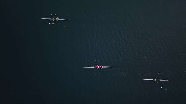 At sunrise, a dedicated rowing team moves with grace through Halifax