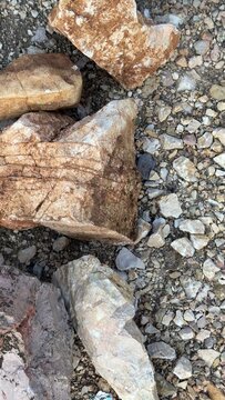 Several large irregular rocks of varied tan and brown tones rest on a bed of mixed gravel and small pebbles, showing natural geological formations and textures under natural light