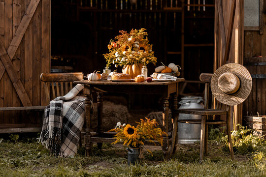 Centrepiece floral composition with natural sunflowers in a pumpkin vase. Beautiful fall seasonal wedding decor or thanksgiving family dinner arrangement outdoors. Countryside style, cottage core