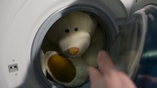 Person washing large teddy bear in a washing machine. Careful hand placing a large plush teddy bear into the drum of a modern washing machine and closing the door, ready for a gentle cleaning