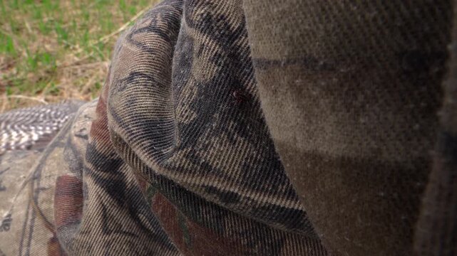 A macro close up shot of a small deer or wood tick crawling slowly across the textured fabric folds of a hunter's camouflage jacket during an early spring turkey hunting trip in Ontario.