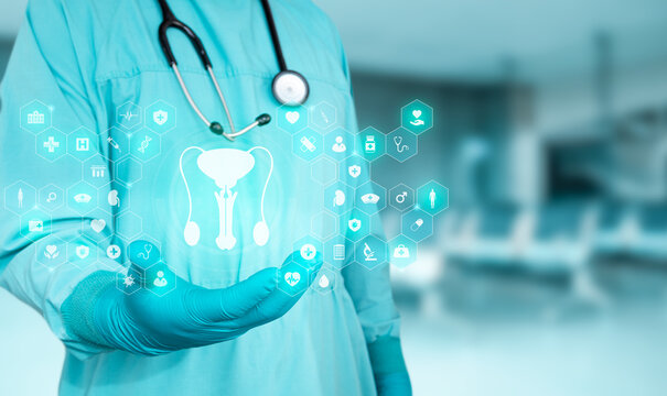 Innovation in men's health and urological technology. A specialist displays a graphic representation of the male reproductive system. Bokeh background. Isolated.