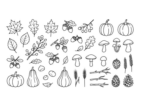 Colecci&oacute;n de elementos de oto&ntilde;o con hojas y calabazas dibujados a mano estilo boceto