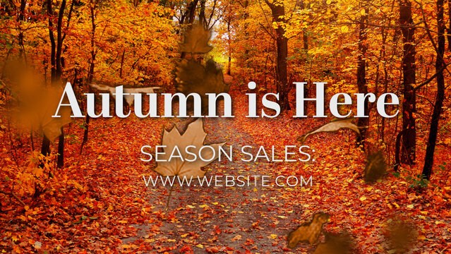 Autumn Falling Leaves Elegant Title Intro &ndash; Fall Season Video Opener with Media Replacement for Seasonal Content