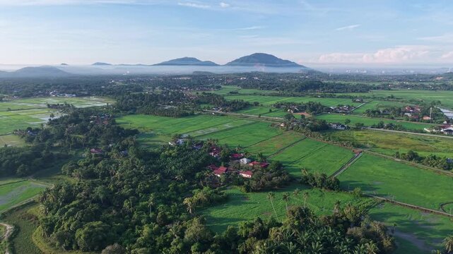 Aerial view of lush green rice fields under clear blue skies. Villages dot the landscape at Perai, Penang