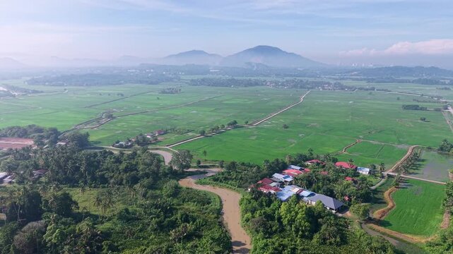 Green fields stretch beneath soft morning light. Rivers meander through lush farmland at Perai, Penang