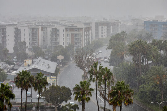 Heavy Rain Along Via Marina in Marina del Rey