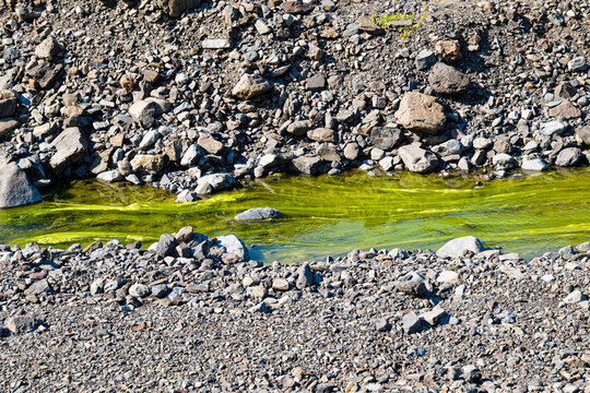 Algae-Lined Stream in the Eastfjords
