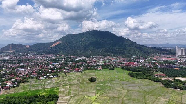 Aerial view shows neatly arranged green rice fields at Bukit Mertajam