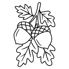 Acorns with leaf outline, acorn coloring page © yani