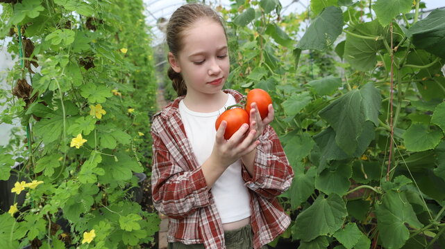 girl learning about gardening and growing vegetables.