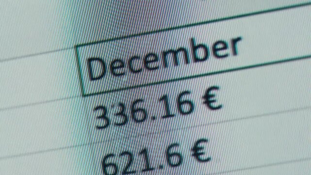 Close-up of financial cash flow data on PC screen. Mortgage payment sheet schedule. Loan fee