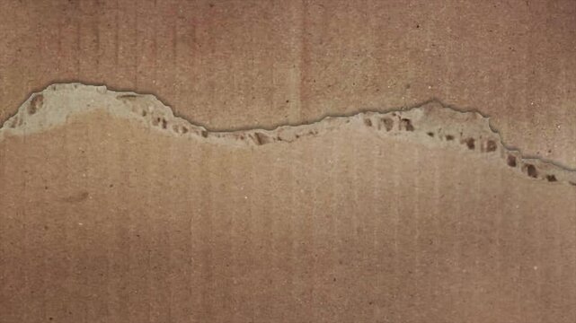 Cardboard texture torn paper background motion video for creative design
