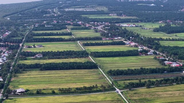 Aerial view of green fields and scattered houses. Lines of trees divide the farmland