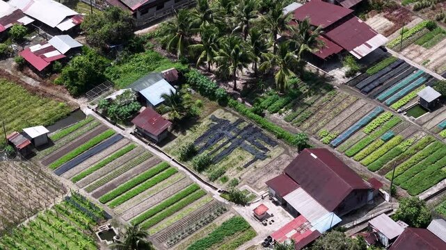 Aerial rural landscape with multiple garden plots filled with vegetables and lush greenery, surrounded by trees