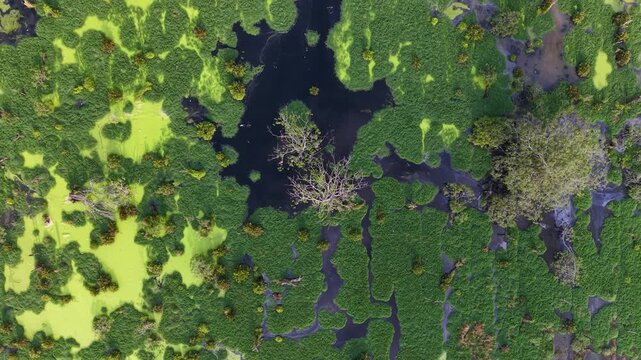 Aerial showcasing a diverse wetland area and patches of dark water