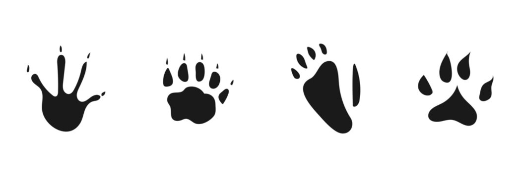 Set of four different black animal paw prints isolated on white background.