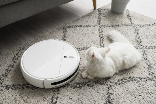 Cute white cat with robot vacuum cleaner lying on carpet at home