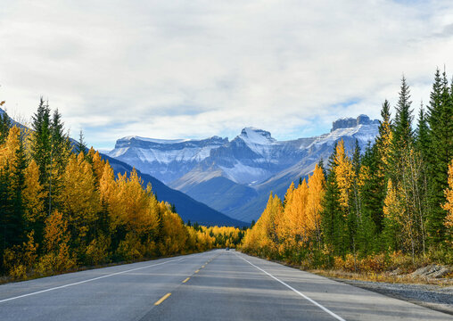 Icefields Parkway
