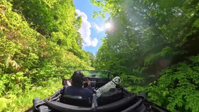 Classic convertible driving on a quiet rural road in Japan
