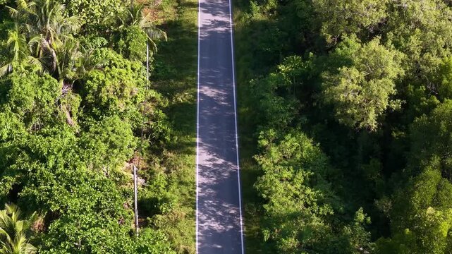 Aerial shot of an empty narrow paved road winding through dense green forest with sunlight casting shadows on the path at Balik Pulau
