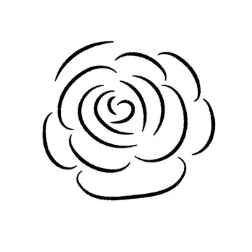 Minimalist Hand-Drawn Rose Blossom Line Art Icon Sketch