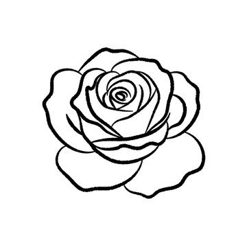 Minimalist Hand-Drawn Rose Blossom Line Art Icon Sketch