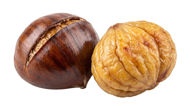 Chestnut with shell and peeled chestnut isolated on transparent background png