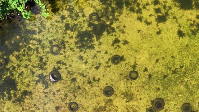 Top-down drone shot of discarded tires scattered across algae-choked shallow water highlighting pollution.