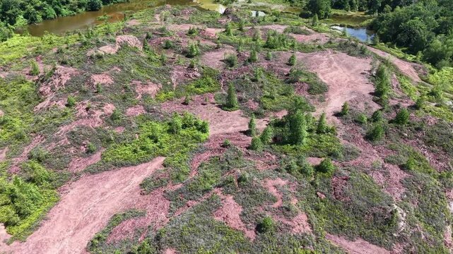 Aerial view of pink earth and green vegetation. River flows beside eroded landforms