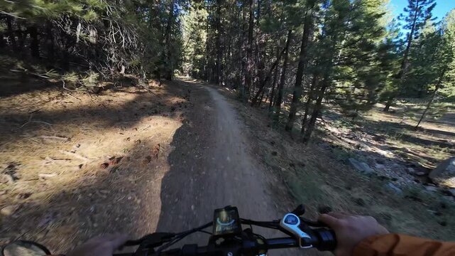 Mountain Bike POV Shot of McGill Trail Downhill Mt Pinos to McGill Camp 5 Los Padres Forest California USA