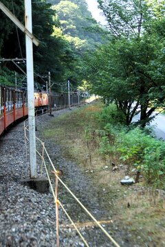 黒部渓谷鉄道からの車窓風景　