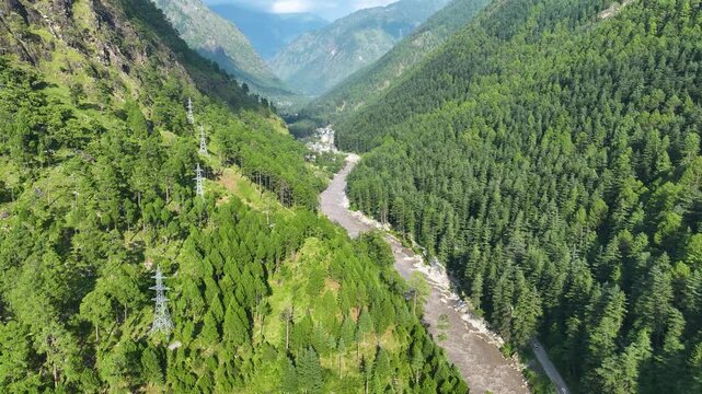 Rising drone vertical ascent through lush Deodar cedar treetops revealing sunlit mountain ridges and clouds along the Parvati Valley travel corridor, India.