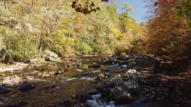 Big Laurel Creek