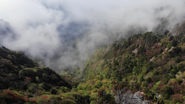 Dramatic clouds rolling over early autumn foliage across mountain slopes in Ishizuchi Quasi-National Park