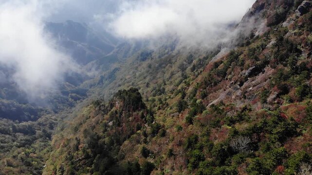 Dramatic clouds rolling over early autumn foliage across mountain slopes in Ishizuchi Quasi-National Park