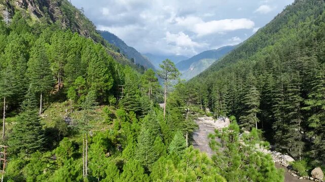 Drone reveal shot of sunlit coniferous mountain ridges and summer monsoon clouds hanging over the winding Parvati River in the Indian Himalayas.