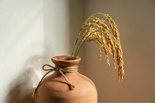 Handmade terracotta vase with twine and drooping golden rice panicles against a soft wall